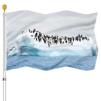  Природен пейзаж, флаг, Пингвини на айсберге, банери с медни люверсами, Двойна светкавица, къща с флага, на парти, на закрито, Външно украса